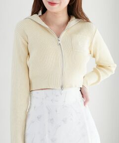 MAJESTIC LEGON / マジェスティックレゴン ニット・セーター | カラフルWZIPニット