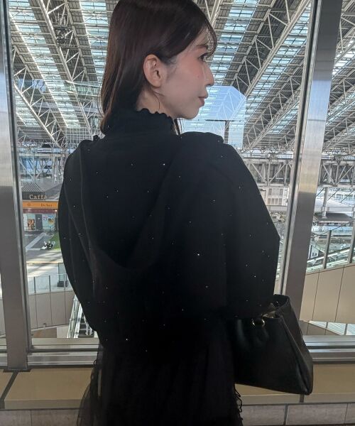 MAJESTIC LEGON / マジェスティックレゴン パーカー | ∞キラキララインストーンショートパーカー | 詳細30