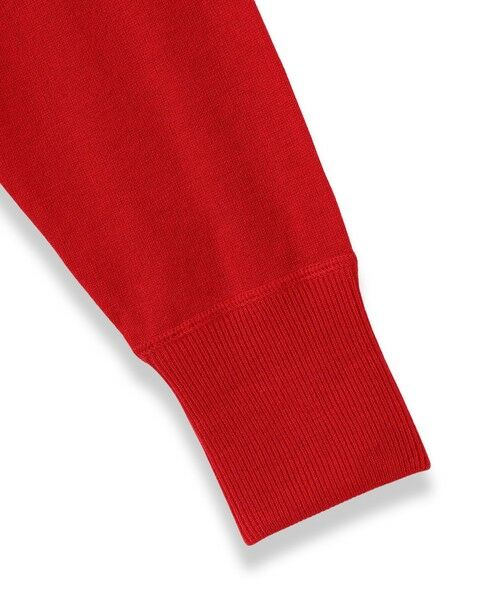 MAYSON GREY / メイソングレイ ニット・セーター | 【新色追加】Vネックコクーンニットプルオーバー≪手洗い可能≫ | 詳細13