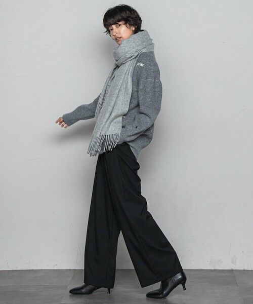 MAYSON GREY / メイソングレイ ニット・セーター | メッセージ刺繍Vネックニットプルオーバー≪手洗い可能≫ | 詳細30