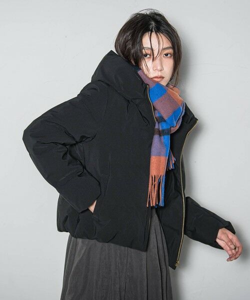 MAYSON GREY / メイソングレイ テーラードジャケット | コンパクトシームレスダウンジャケット | 詳細8