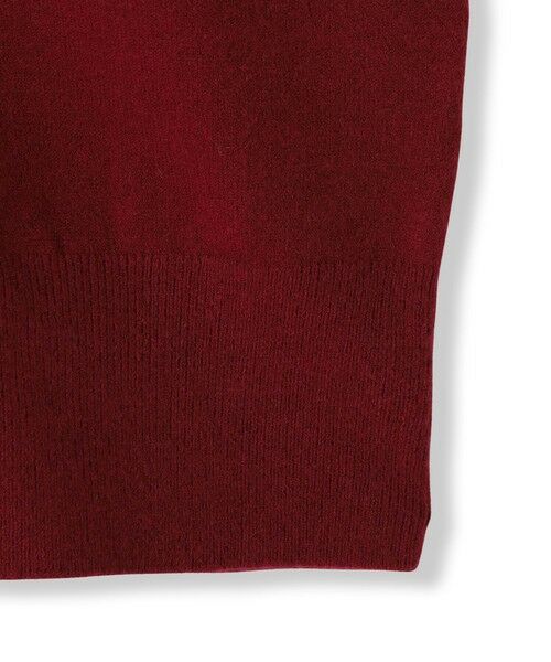 MAYSON GREY / メイソングレイ ニット・セーター | 【ふわもち】Vネックニット≪洗濯機で洗える≫ | 詳細20