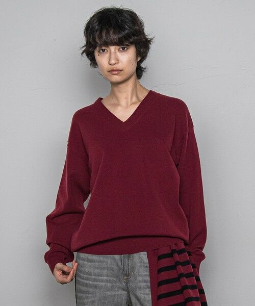 MAYSON GREY / メイソングレイ ニット・セーター | 【ふわもち】Vネックニット≪洗濯機で洗える≫ | 詳細10