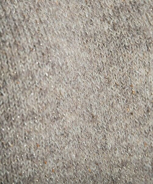 MAYSON GREY / メイソングレイ ニット・セーター | ラメスパンコールクルーネックニット≪手洗い可能≫ | 詳細22