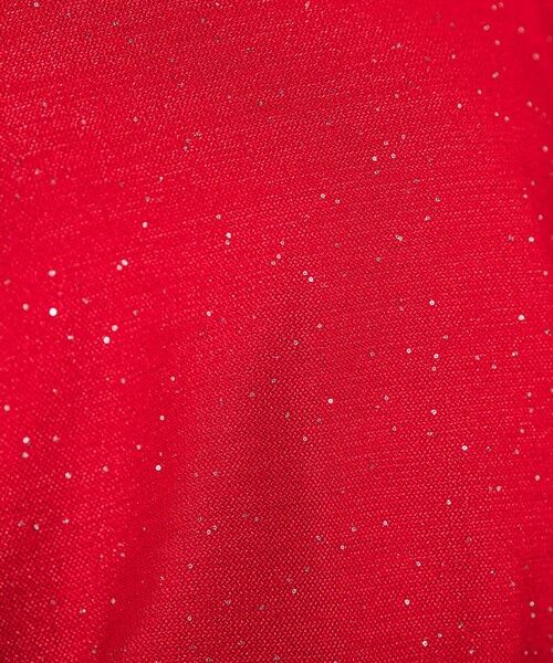 MAYSON GREY / メイソングレイ ニット・セーター | ミニスパンコールクルーネックニット≪手洗い可能≫ | 詳細18