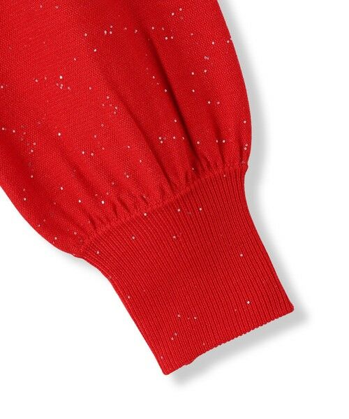 MAYSON GREY / メイソングレイ ニット・セーター | ミニスパンコールクルーネックニット≪手洗い可能≫ | 詳細22