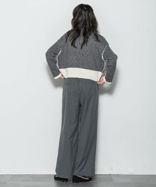 MAYSON GREY / メイソングレイ ニット・セーター | 【WEB限定】ハイネック配色ニット≪手洗い可能≫ | 詳細28