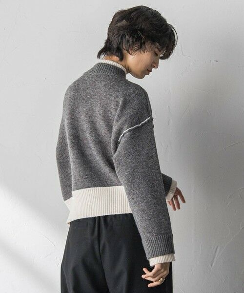 MAYSON GREY / メイソングレイ ニット・セーター | 【WEB限定】ハイネック配色ニット≪手洗い可能≫ | 詳細18