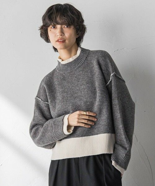 MAYSON GREY / メイソングレイ ニット・セーター | 【WEB限定】ハイネック配色ニット≪手洗い可能≫ | 詳細19