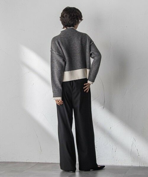 MAYSON GREY / メイソングレイ ニット・セーター | 【WEB限定】ハイネック配色ニット≪手洗い可能≫ | 詳細22