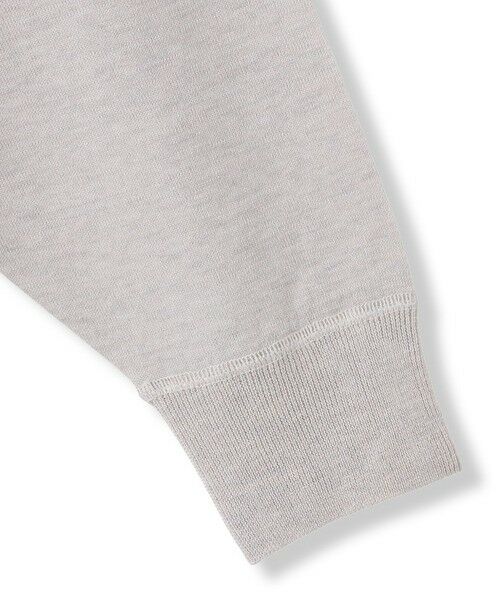 MAYSON GREY / メイソングレイ ニット・セーター | LEVITA Vネックドルマンニットプルオーバー | 詳細12