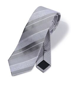 MEN'S BIGI / メンズビギ ネクタイ | シャドーペイズリーストライプ×ピンドット柄シルクネクタイ