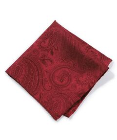 MEN'S BIGI / メンズビギ その他小物 | シャドーペイズリー柄シルクチーフ