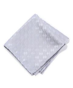 MEN'S BIGI / メンズビギ その他小物 | アーガイル柄シルクチーフ