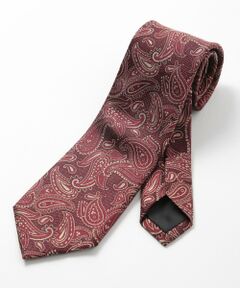 MEN'S BIGI / メンズビギ ネクタイ | 【TIE YOUR TIE(タイユアタイ)】ヴィンテージペイズリー柄ネクタイ