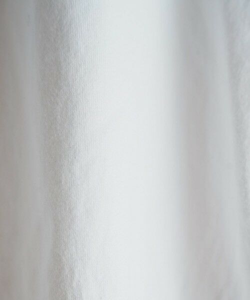 MEN'S BIGI / メンズビギ Tシャツ | 【DENHAM/デンハム】別注 ロゴTEE | 詳細1