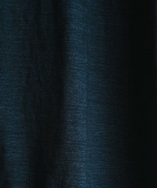 MEN'S BIGI / メンズビギ Tシャツ | 【DENHAM/デンハム】別注 ロゴTEE | 詳細11