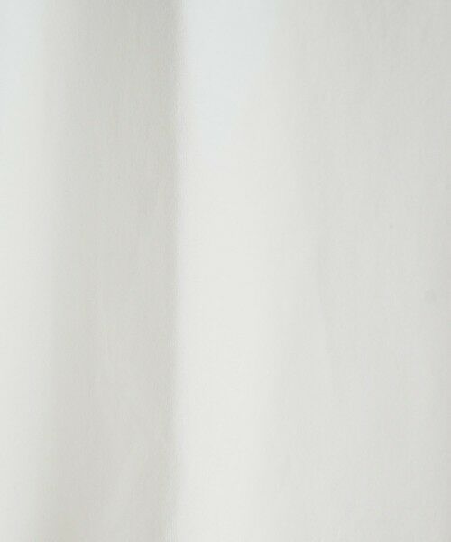 MEN'S BIGI / メンズビギ Tシャツ | 【DENHAM/デンハム】別注 バックプリントTEE | 詳細7