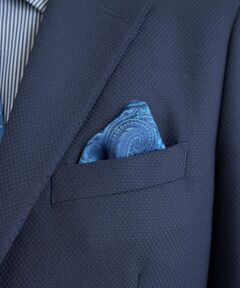 MEN'S BIGI / メンズビギ その他小物 | シャドーペイズリー柄シルクチーフ