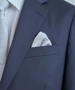 MEN'S BIGI / メンズビギ その他小物 | シャドーペイズリー柄シルクチーフ