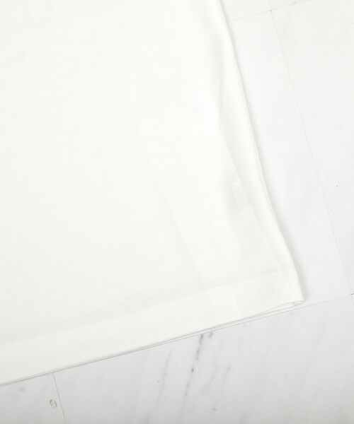 MEN'S BIGI / メンズビギ Tシャツ | 【接触冷感／キシリトールプリント】南極モチーフ ワンポイントデザインTEE | 詳細11