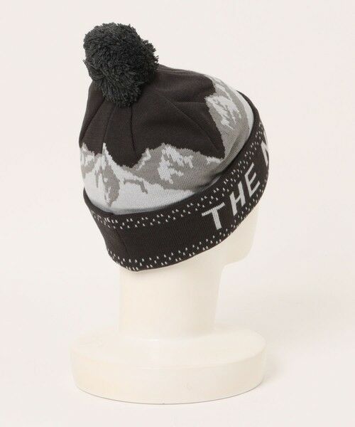 MEN'S BIGI / メンズビギ キャップ | 【THE NORTH FACE】Snow Bum Beanie / スノーバムビーニー（ユニセックス） | 詳細1