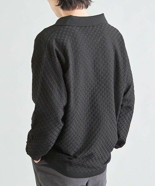 MEN'S BIGI / メンズビギ ニット・セーター | ＜WEB限定＞ハイゲージ スキッパー ウォッシャブル ポロニット | 詳細8