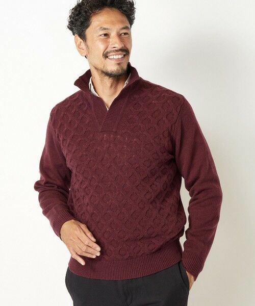 MEN'S BIGI / メンズビギ ニット・セーター | 7Gハニカムスキッパーニット | 詳細12