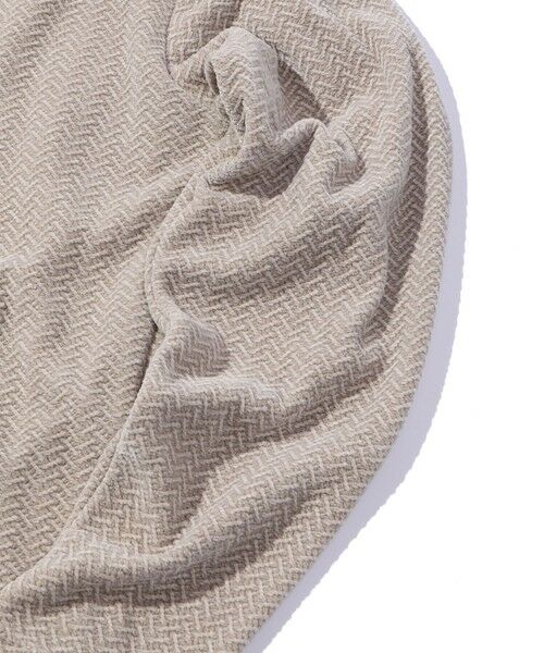 MEN'S BIGI / メンズビギ Tシャツ | モールジャガードクルーネックカットソー | 詳細6