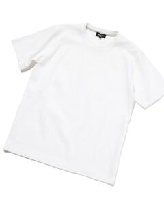 MEN'S BIGI / メンズビギ Tシャツ | リンクスジャカード半袖カットソー