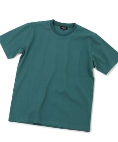 MEN'S BIGI / メンズビギ Tシャツ | リンクスジャカード半袖カットソー