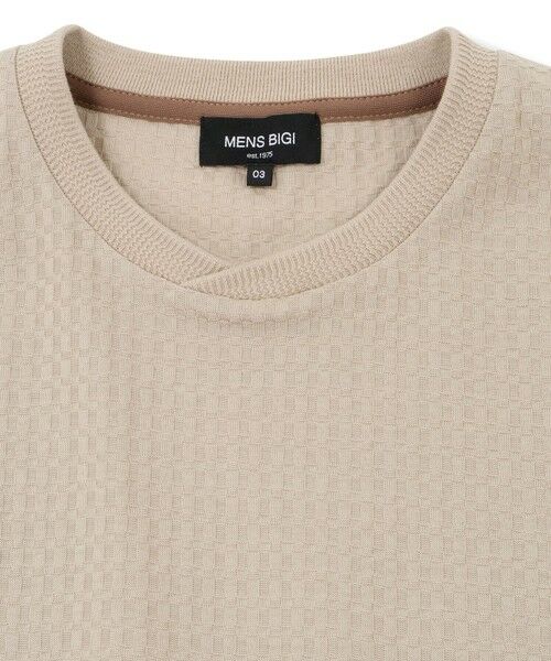 MEN'S BIGI / メンズビギ Tシャツ | リンクスジャカード半袖カットソー | 詳細6