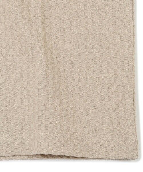 MEN'S BIGI / メンズビギ Tシャツ | リンクスジャカード半袖カットソー | 詳細8