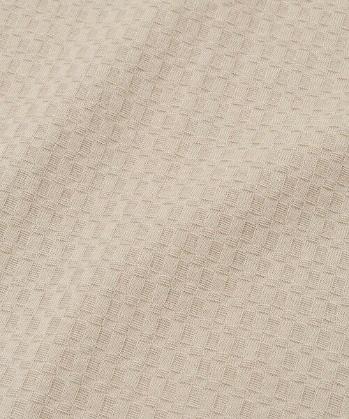 MEN'S BIGI / メンズビギ Tシャツ | リンクスジャカード半袖カットソー | 詳細9