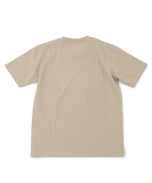 MEN'S BIGI / メンズビギ Tシャツ | リンクスジャカード半袖カットソー | 詳細10