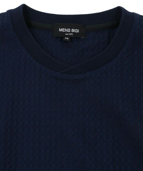 MEN'S BIGI / メンズビギ Tシャツ | リンクスジャカード半袖カットソー | 詳細19