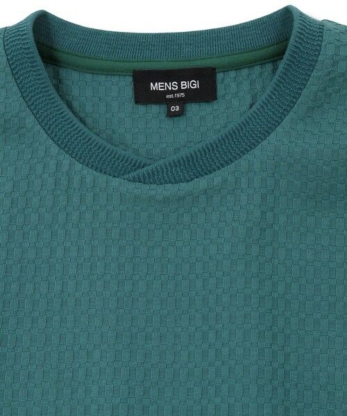MEN'S BIGI / メンズビギ Tシャツ | リンクスジャカード半袖カットソー | 詳細22