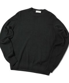 MEN'S BIGI / メンズビギ ニット・セーター | 【FILIPPO DE LAURENTIIS】10Gクルーネックニット