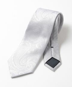 MEN'S BIGI / メンズビギ ネクタイ | シャドーペイズリー柄シルクネクタイ