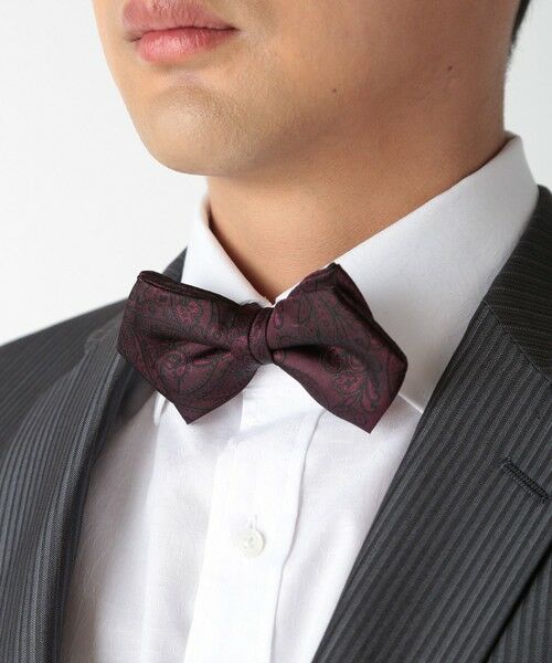 MEN'S BIGI / メンズビギ ネクタイ | シャドーペイズリー ポインテッドボウタイ（同素材ネクタイ・チーフあり） | 詳細4