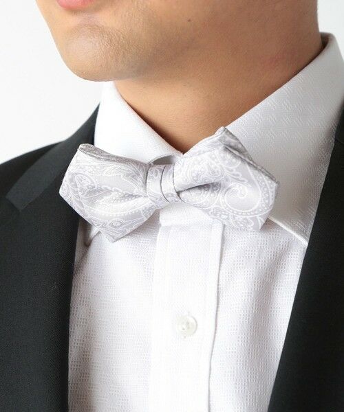 MEN'S BIGI / メンズビギ ネクタイ | シャドーペイズリー ポインテッドボウタイ（同素材ネクタイ・チーフあり） | 詳細7