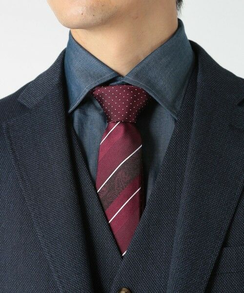 MEN'S BIGI / メンズビギ ネクタイ | ストライプシャドーペイズリー/ピンドット柄クレリックタイ | 詳細10