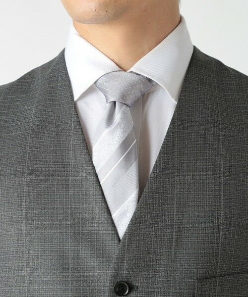 MEN'S BIGI / メンズビギ ネクタイ | ストライプシャドーペイズリー/ピンドット柄クレリックタイ | 詳細13