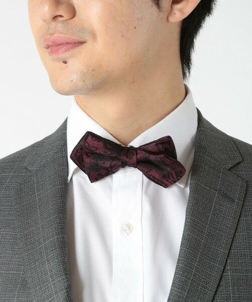 MEN'S BIGI / メンズビギ ネクタイ | シャドーペイズリー蝶ネクタイ（同素材スカーフあり） | 詳細4