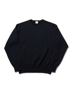 MEN'S BIGI / メンズビギ ニット・セーター | 【WLP/ダブルエルピー】CREW NECK PO