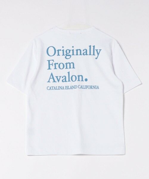 MEN'S BIGI / メンズビギ Tシャツ | ストレッチスムースフロッキープリントT | 詳細3