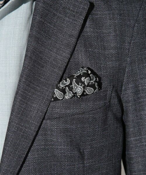 MEN'S BIGI / メンズビギ テーラードジャケット | バーズアイテーラードジャケット | 詳細3