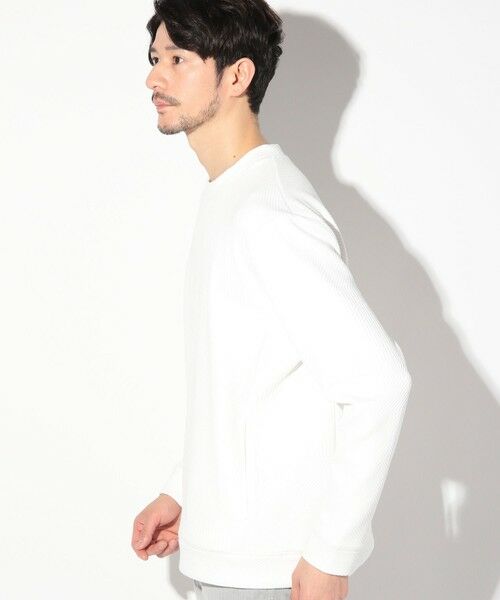 MEN'S BIGI / メンズビギ Tシャツ | ふくれジャガードクルーネックロンT | 詳細2