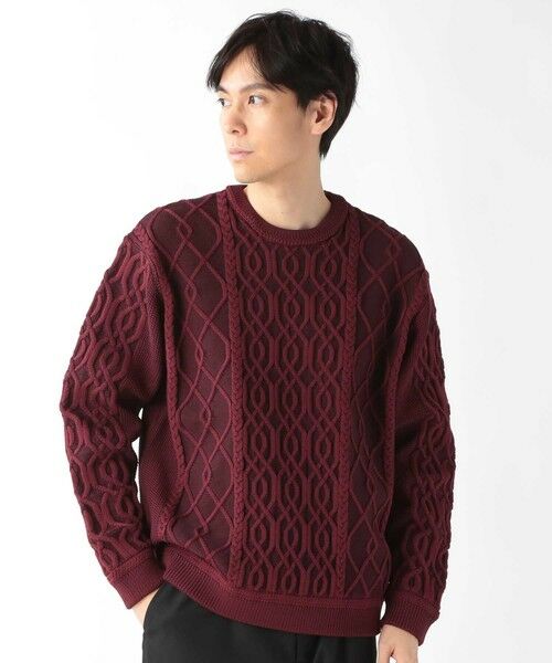 MEN'S BIGI / メンズビギ ニット・セーター | ケーブル編みプルオーバーニット | 詳細16