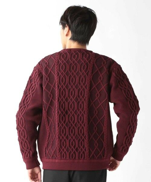 MEN'S BIGI / メンズビギ ニット・セーター | ケーブル編みプルオーバーニット | 詳細17